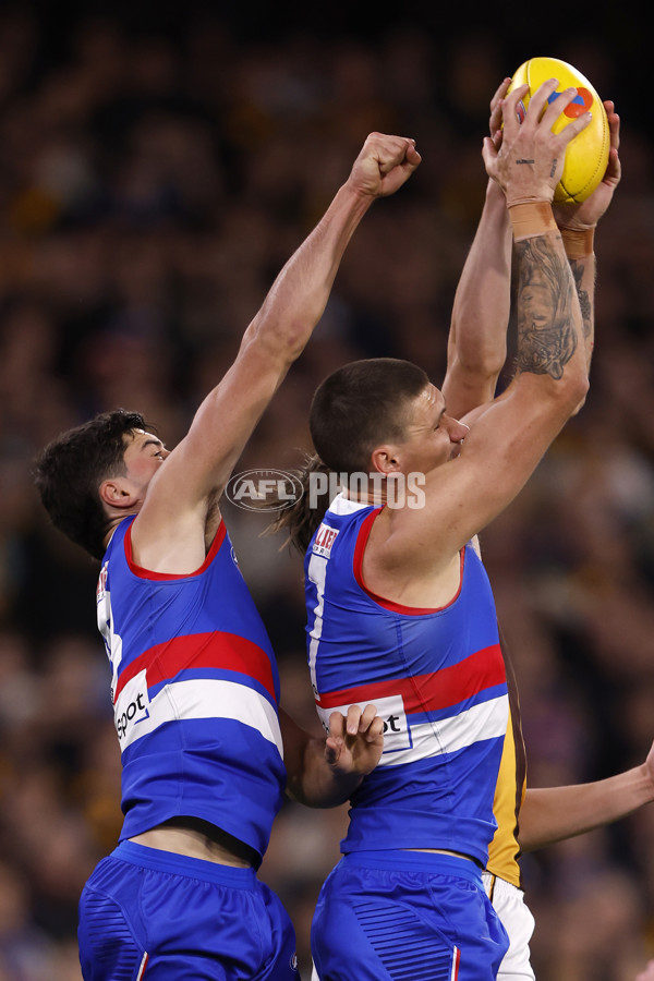 AFL 2024 Second Elimination Final - Western Bulldogs v Hawthorn - A-53720569