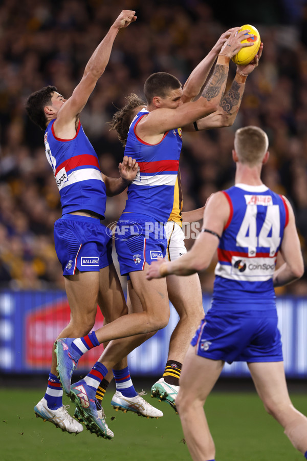 AFL 2024 Second Elimination Final - Western Bulldogs v Hawthorn - A-53722507