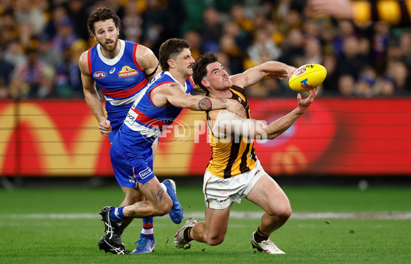 AFL 2024 Second Elimination Final - Western Bulldogs v Hawthorn - A-53722527