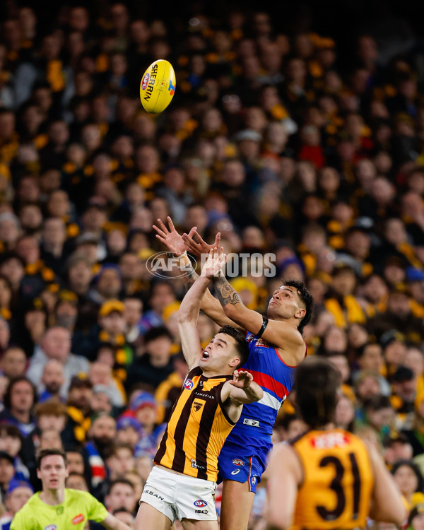 AFL 2024 Second Elimination Final - Western Bulldogs v Hawthorn - A-53722556