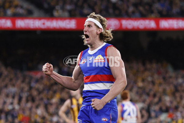 AFL 2024 Second Elimination Final - Western Bulldogs v Hawthorn - A-53722582