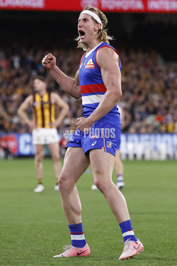 AFL 2024 Second Elimination Final - Western Bulldogs v Hawthorn - A-53722583