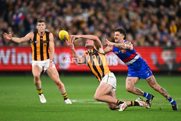 AFL 2024 Second Elimination Final - Western Bulldogs v Hawthorn - A-53722587