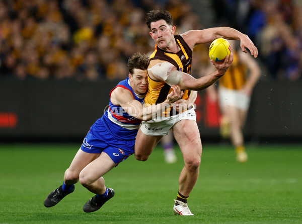 AFL 2024 Second Elimination Final - Western Bulldogs v Hawthorn - A-53722591