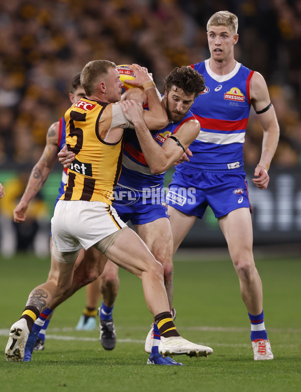 AFL 2024 Second Elimination Final - Western Bulldogs v Hawthorn - A-53722594