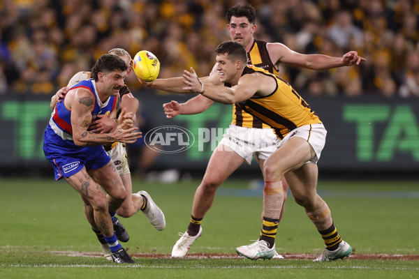 AFL 2024 Second Elimination Final - Western Bulldogs v Hawthorn - A-53722595