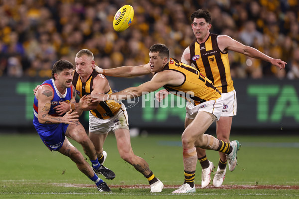 AFL 2024 Second Elimination Final - Western Bulldogs v Hawthorn - A-53722599