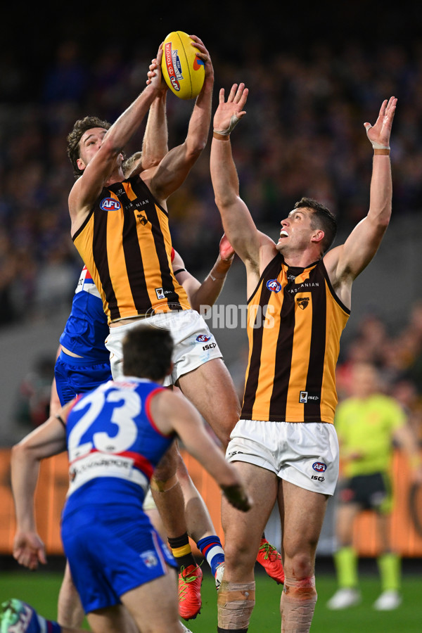 AFL 2024 Second Elimination Final - Western Bulldogs v Hawthorn - A-53722606