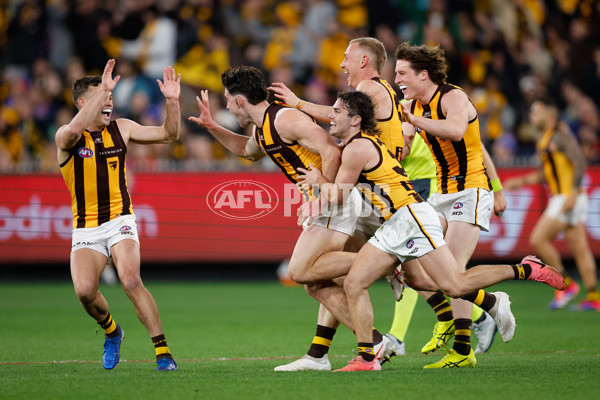 AFL 2024 Second Elimination Final - Western Bulldogs v Hawthorn - A-53723316