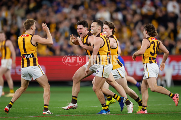 AFL 2024 Second Elimination Final - Western Bulldogs v Hawthorn - A-53723317