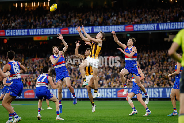 AFL 2024 Second Elimination Final - Western Bulldogs v Hawthorn - A-53723324