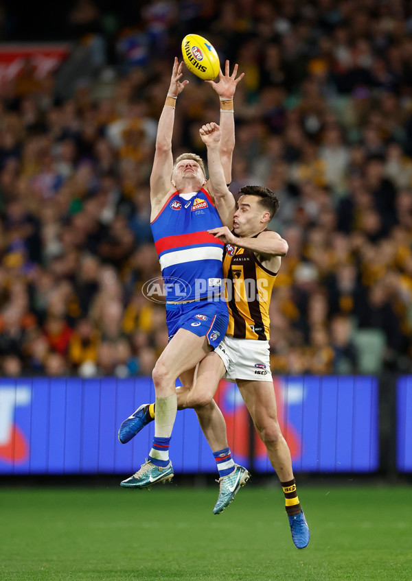 AFL 2024 Second Elimination Final - Western Bulldogs v Hawthorn - A-53723365