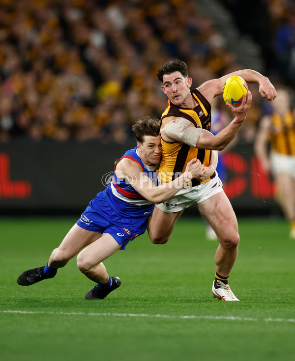 AFL 2024 Second Elimination Final - Western Bulldogs v Hawthorn - A-53723368