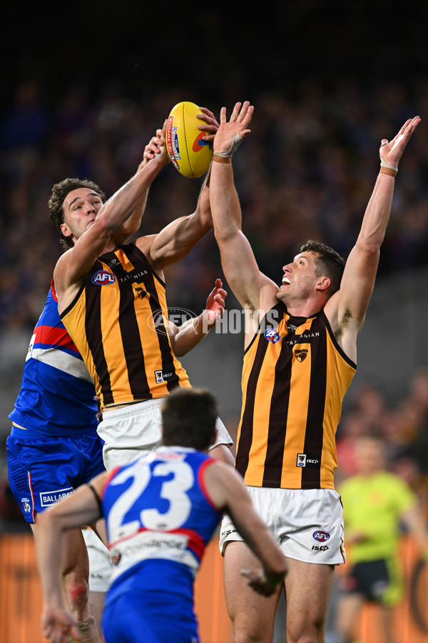 AFL 2024 Second Elimination Final - Western Bulldogs v Hawthorn - A-53723386