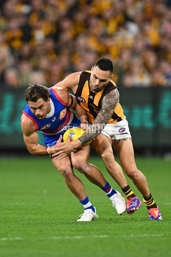 AFL 2024 Second Elimination Final - Western Bulldogs v Hawthorn - A-53723407