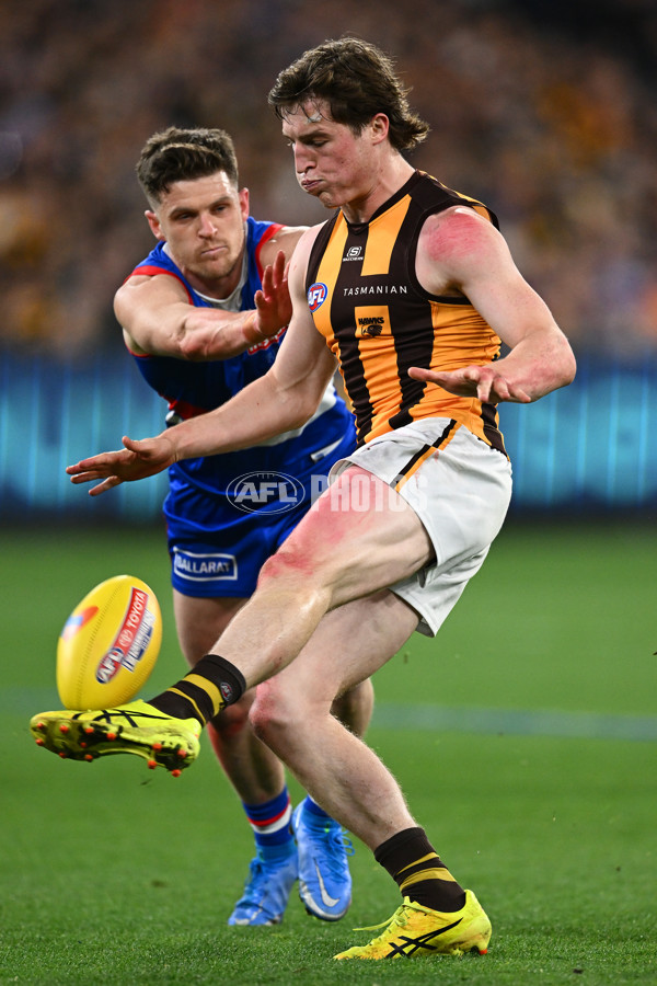 AFL 2024 Second Elimination Final - Western Bulldogs v Hawthorn - A-53723410