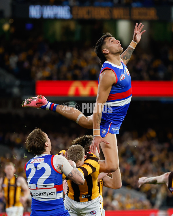 AFL 2024 Second Elimination Final - Western Bulldogs v Hawthorn - A-53723412