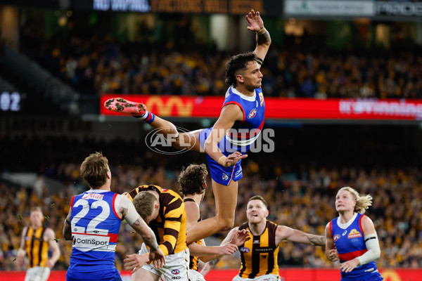 AFL 2024 Second Elimination Final - Western Bulldogs v Hawthorn - A-53723414