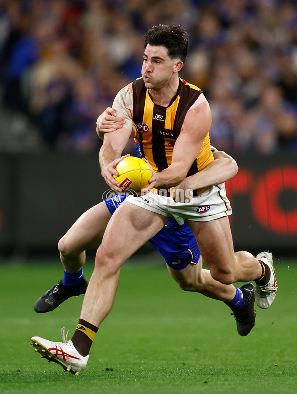 AFL 2024 Second Elimination Final - Western Bulldogs v Hawthorn - A-53724939