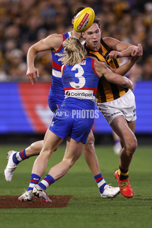 AFL 2024 Second Elimination Final - Western Bulldogs v Hawthorn - A-53724951