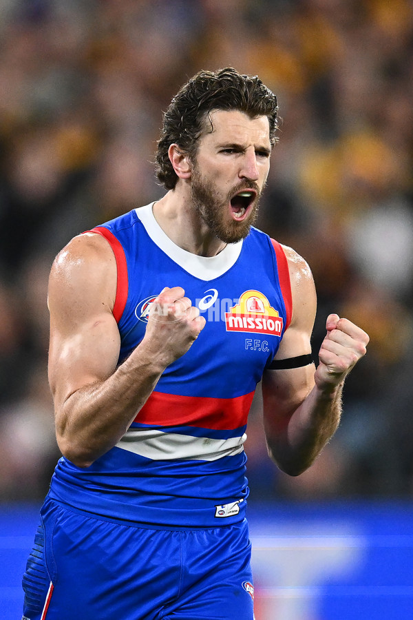 AFL 2024 Second Elimination Final - Western Bulldogs v Hawthorn - A-53724969