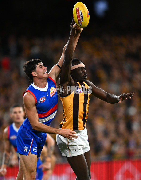 AFL 2024 Second Elimination Final - Western Bulldogs v Hawthorn - A-53724974