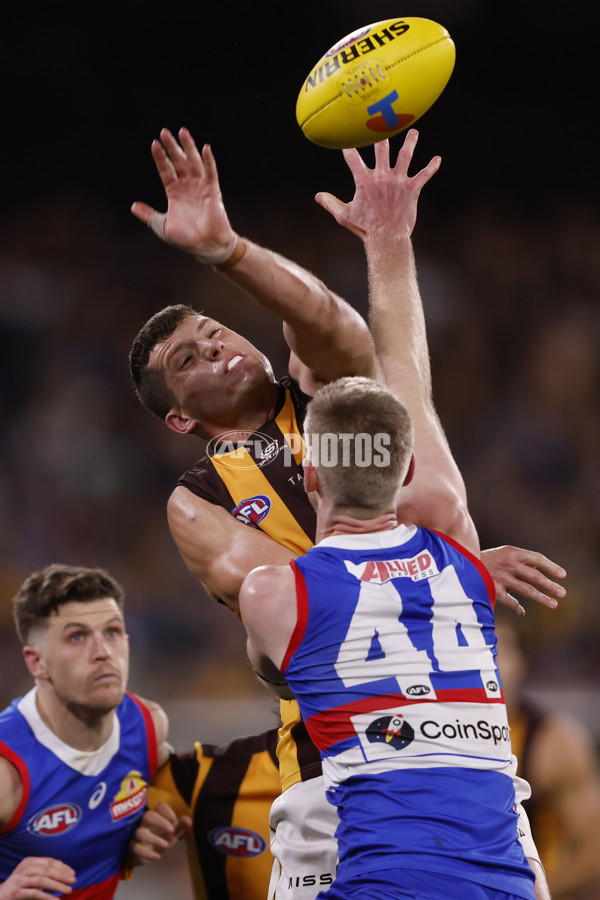 AFL 2024 Second Elimination Final - Western Bulldogs v Hawthorn - A-53724980