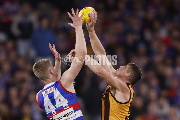 AFL 2024 Second Elimination Final - Western Bulldogs v Hawthorn - A-53724982