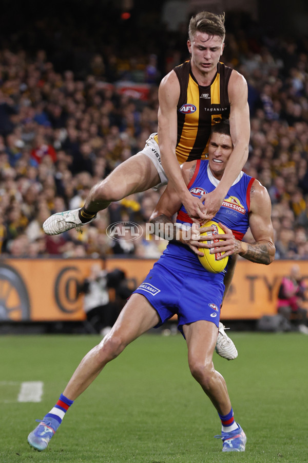 AFL 2024 Second Elimination Final - Western Bulldogs v Hawthorn - A-53724990