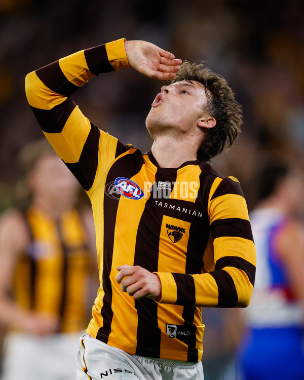 AFL 2024 Second Elimination Final - Western Bulldogs v Hawthorn - A-53724991