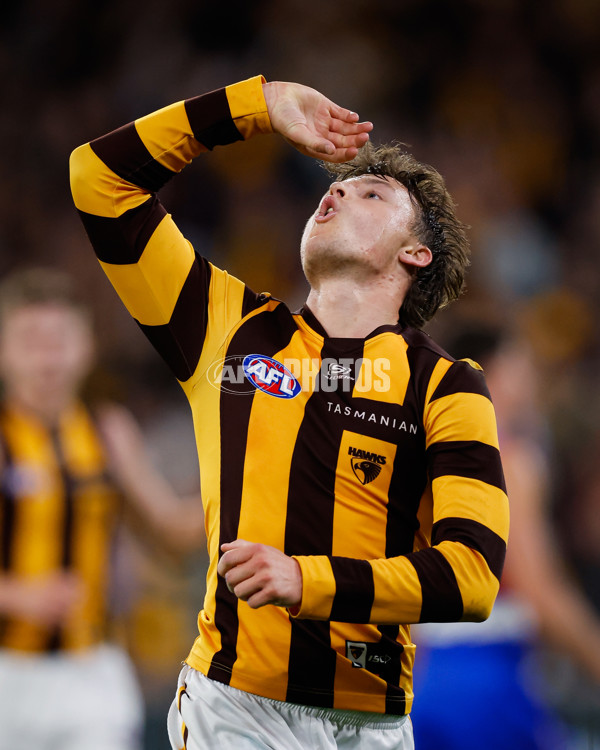 AFL 2024 Second Elimination Final - Western Bulldogs v Hawthorn - A-53724998
