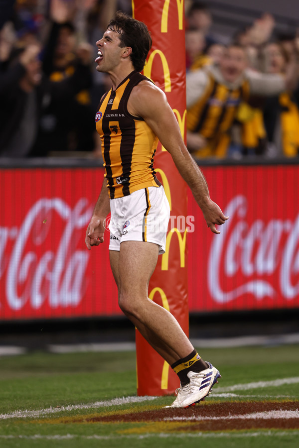 AFL 2024 Second Elimination Final - Western Bulldogs v Hawthorn - A-53725004