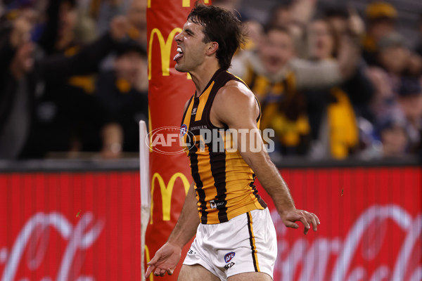 AFL 2024 Second Elimination Final - Western Bulldogs v Hawthorn - A-53725005