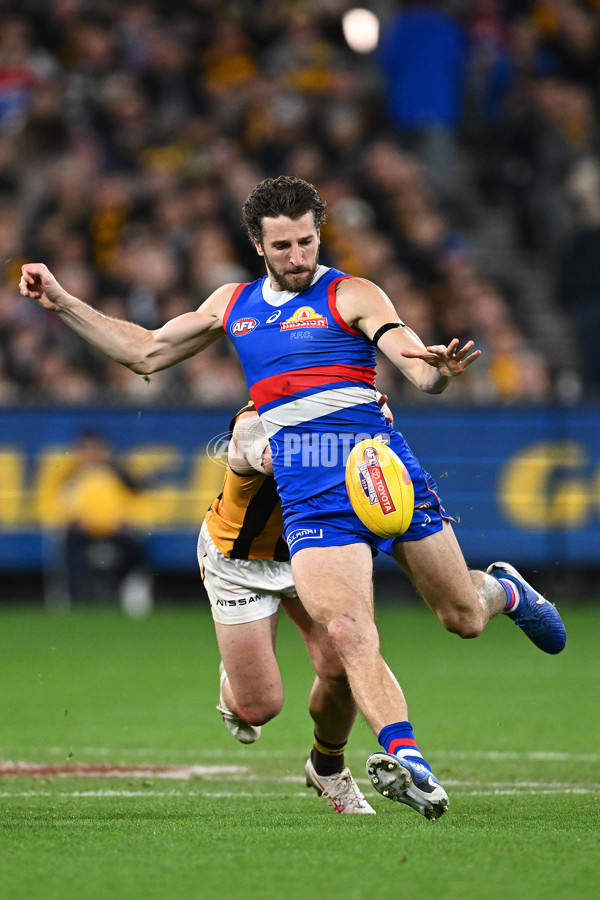 AFL 2024 Second Elimination Final - Western Bulldogs v Hawthorn - A-53725015