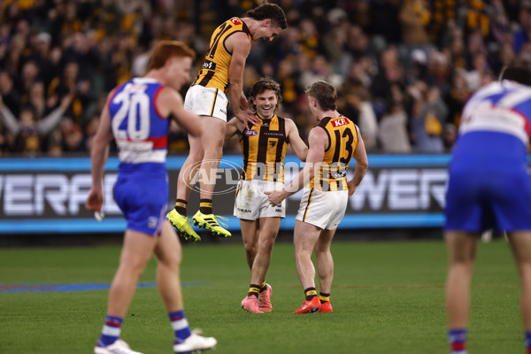 AFL 2024 Second Elimination Final - Western Bulldogs v Hawthorn - A-53725020