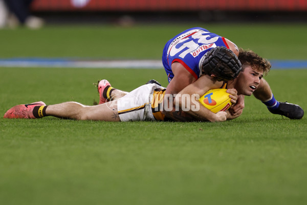 AFL 2024 Second Elimination Final - Western Bulldogs v Hawthorn - A-53725027