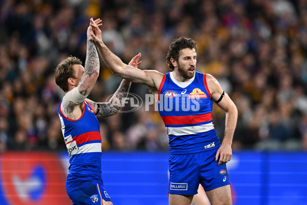 AFL 2024 Second Elimination Final - Western Bulldogs v Hawthorn - A-53725950