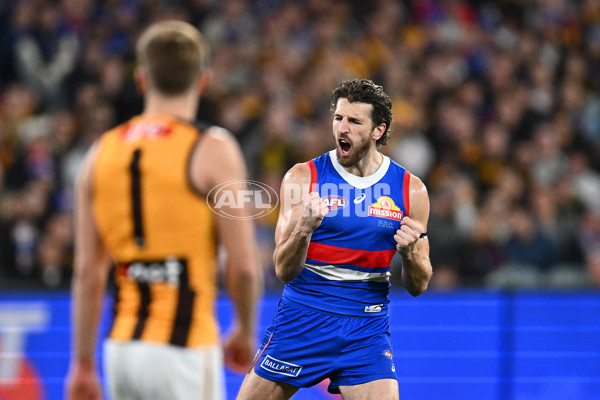 AFL 2024 Second Elimination Final - Western Bulldogs v Hawthorn - A-53725953