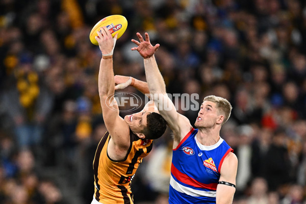 AFL 2024 Second Elimination Final - Western Bulldogs v Hawthorn - A-53725954