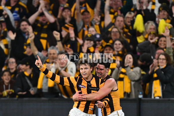 AFL 2024 Second Elimination Final - Western Bulldogs v Hawthorn - A-53725963