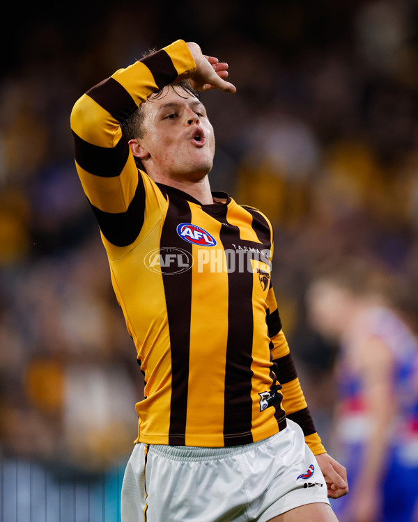 AFL 2024 Second Elimination Final - Western Bulldogs v Hawthorn - A-53725965