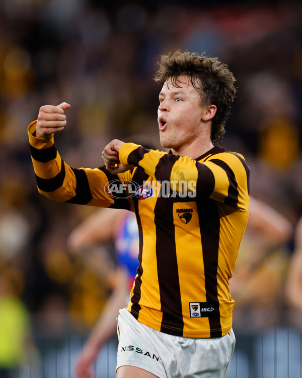 AFL 2024 Second Elimination Final - Western Bulldogs v Hawthorn - A-53725976