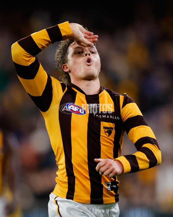 AFL 2024 Second Elimination Final - Western Bulldogs v Hawthorn - A-53725977