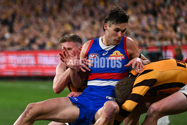 AFL 2024 Second Elimination Final - Western Bulldogs v Hawthorn - A-53725981