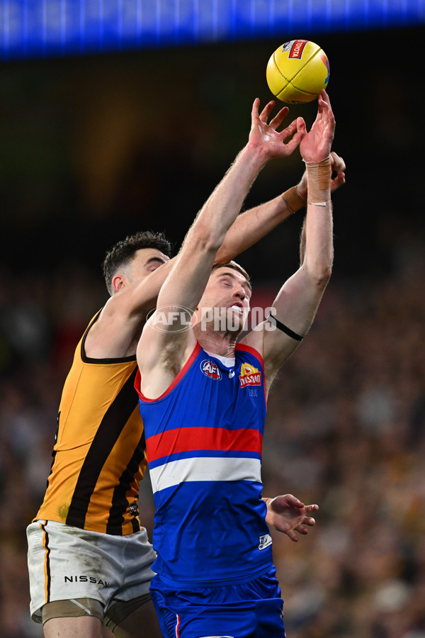 AFL 2024 Second Elimination Final - Western Bulldogs v Hawthorn - A-53725983