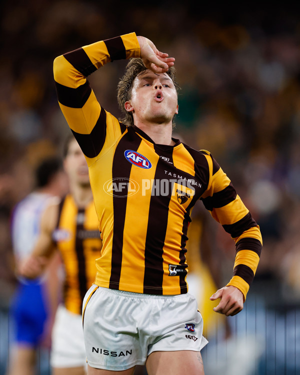 AFL 2024 Second Elimination Final - Western Bulldogs v Hawthorn - A-53725984