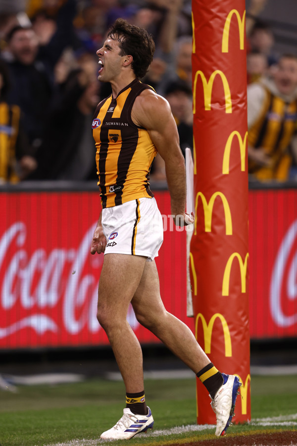 AFL 2024 Second Elimination Final - Western Bulldogs v Hawthorn - A-53725985