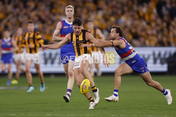 AFL 2024 Second Elimination Final - Western Bulldogs v Hawthorn - A-53725987