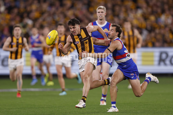 AFL 2024 Second Elimination Final - Western Bulldogs v Hawthorn - A-53725988