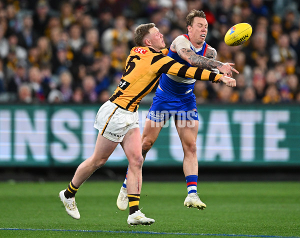 AFL 2024 Second Elimination Final - Western Bulldogs v Hawthorn - A-53725989